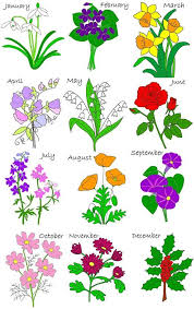 Db17aa16e5dfb95f39a0d02fcbbfedc0 Jpg 599 950 Pixels Birth Month Flowers Birth Flower Tattoos Birthday Month Flowers