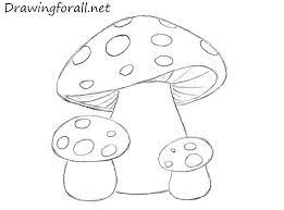 How To Draw Mushrooms For Kids Mushroom Drawing Alice In Wonderland Drawings Alice And Wonderland Tattoos The drawbot also has plenty of drawing and coloring pages! mushroom drawing alice in wonderland