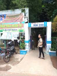 Bernadett szabo/reuters tibor toth bermain setiap hari dengan mohini dan begum, harimau bengal putih, yang dia beri makanan dalam botol seperti. Wisatawan Minta Penambahan Hewan Di Kebun Binatang Mini Zoo Kijang Kata Kepri