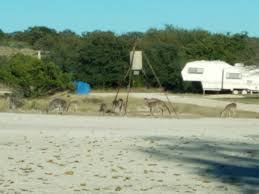 Current land applications for farms for sale in california include for orchard, timber, row crop, livestock, vineyard, irrigation, and aquaculture use. Caverns Of Sonora Rv Park Sonora Texas Us Parkadvisor
