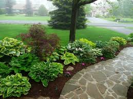Hosta Garden 5 Garden Share Hosta Gardens Garden Yard Ideas Shade Plants