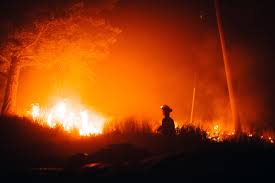 Bc wildfire service (bcws) is the wildfire suppression service of the canadian province of british columbia. Bc Wildfire Warns Of Wind That Could Cause Spread Of Wildfires My Creston Now