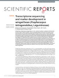 Image result for Psophocarpus lancifolius