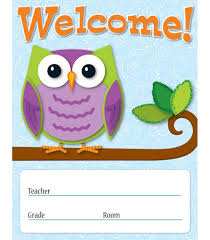 Colorful Owls Welcome Chart