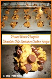 Peanut Butter Pumpkin Chocolate Chip Lactation Cookies Recipe Lactation Cookies Recipe Pumpkin Chocolate Lactation Cookies