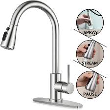Phancir Kitchen Faucet With Pull Down