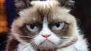 You remember the cats can have little a salami, as a treat meme that mashable called the best kind of meme back in november? Cats Can Have A Little Salami Know Your Meme
