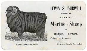 William Jarvis S Merino Sheep Vermont Historical Society Merino Sheep Sheep Merino