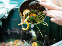 Mold cells are just one of the many different types of microorganisms that take care of decomposition and are fine in a backyard bin. A Guide To Composting Turn Food Waste Into Garden Gold