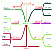 what are the career option for commerce with infomatic