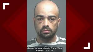 BCSO searching for suspect they say hit a deputy's cruiser in a stolen  vehicle