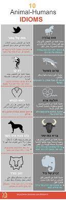10مصطلحات لحيوانات ت ضرب بها المثل على صفات بشرية لمشاهدة الصورة كاملة يرجى الضغط عليها study hebrew idioms tiy