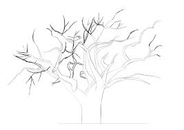 Comment Dessiner Un Arbre Comment Dessiner Un Arbre Dessin Arbre Comment Dessiner