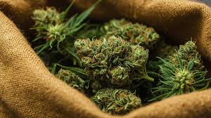 Best Delta 8 Flower Brands for Potency ...