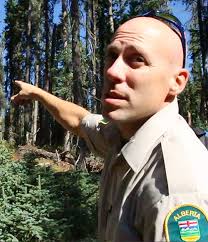 Beetle invasion threatens forests from coast to coast