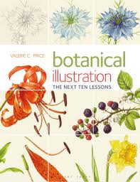 Botanical Illustration Books: Buy Online from Fishpond.co.nz