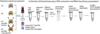 Whole Transcriptome Rna Sequencing Data From Blood Leukocytes Derived From Parkinson S Disease Patients Prior To And Following Deep Brain Stimulation Treatment Sciencedirect
