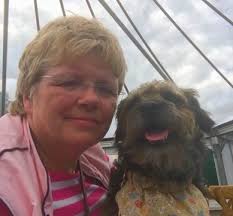 The Committee — Border Terrier LifeLine