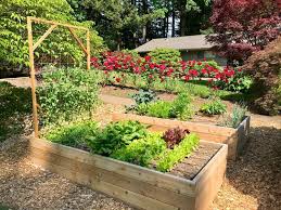 2018 Fall Photo Journal 32 Jpg Edible Landscaping Edible Garden Garden Help