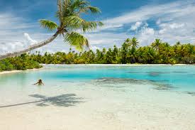 Image result for Faroa affinis