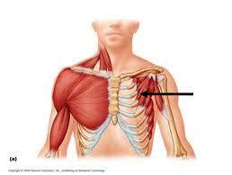 Pin On Exercises For Better Running