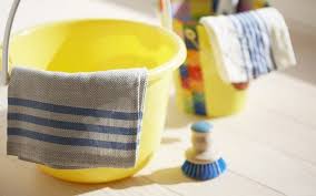 Karbonat, aspirin ya da sirkeyle tay tüyü kumaş silinebilir mi? Koltuk Temizligi Nasil Yapilir Mimuu Com