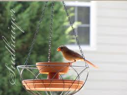 Diy Bird Bath And Feeder A Green Crusader Work Eco Friendly Bird Bath And Feeder Diy Bird Feeders Bird Bath Diy Bird Feeder