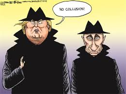 Image result for trump cartoons
