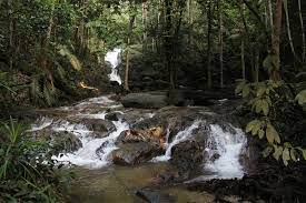 If you are into trekking, this is a good place to do so. Sungai Tekala Recreational Park Ng Jia Hao