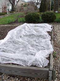 (not for some have special chemicals that keep them freezing. Protecting Plants Against Frost Pennlive Com