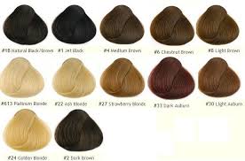 Details About 8a Indian Remy Human Hair Silk Base Wig Deep