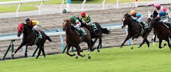 Check spelling or type a new query. å°å€‰è¨˜å¿µ2020 äºˆæƒ³ã‚ªãƒƒã‚ºã¨ç©´é¦¬æƒ…å ± ç©´é¦¬5é¸ ã¾ã¨ã‚ 3é€£å˜6ç‚¹å‹è²  ç«¶é¦¬ã§å¤¢ã‚'å¶ãˆã‚‹ 3é€£å˜ç«¶é¦¬äºˆæƒ³ã«å½¹ç«‹ã¤æƒ…å ±ãŒæº€è¼‰ã§ã™