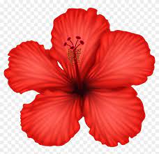 Download clker's hibiscus clip art and related images now. Red Hibiscus Png Clip Art Hibiscus Flower Transparent Background Free Transparent Png Clipart Images Download