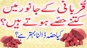 Kareem tv urdu 232 views7. Qurbani Ke Janwar Me Kitne Hisse Hute Hain 2020 Gae Oont Ke Hisse Urdu Hindi Shehzad Turabi Youtube