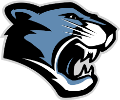5 out of 5 stars. Carolina Panthers Png Logo Free Transparent Png Logos