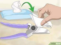 To use liquid bleach to sanitize your tools, just add one part bleach in nine parts water and soak the tools in the solution for half an hour. 3 Ways To Disinfect Gardening Tools Wikihow