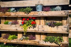 How to make a garden with pallets. How To Make A Raised Bed Using Pallets Kellogg Garden Organics