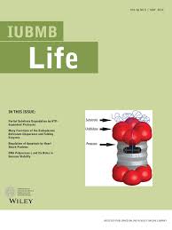 Check spelling or type a new query. The Many Functions Of The Endoplasmic Reticulum Chaperones And Folding Enzymes Halperin 2014 Iubmb Life Wiley Online Library