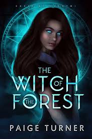 The Magic Of The Internet Fantasy Books To Read Books For Teens Book Club Books