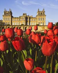 Blenheim Palace Tulips On The Water Terrace Gardens Stately Home Blenheim Palace Blenheim Castle