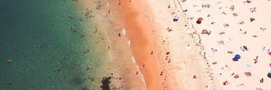 Nsw Immigration Opens For The 491 Visa From 15 To 26 June 2020 Australian Migration Agents And Immigration Lawyers Melbourne Seekvisa