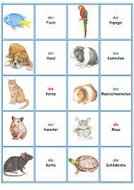 Kinder lieben es, ihr gedächtnis zu prüfen. Spiele Im Deutschunterricht Memory Die Tiere Deutsch Unterricht Deutsch Lernen Spiele Deutsch Lernen Kinder