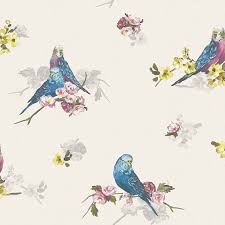Parakeets Bird Wallpaper Blue Grey Wallpaper Feature Wallpaper