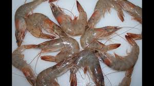 Maybe you would like to learn more about one of these? Come Pulire Code E Corpo Di Gamberi E Scampi Ricette Di Cucina