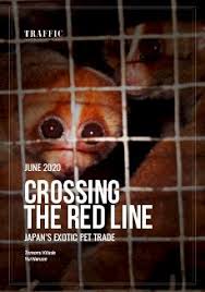 We did not find results for: Crossing The Red Line Wildlife Trade Report From Traffic