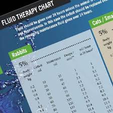 Fluid Therapy Chart Request