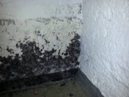 Dann ist eine mietminderung in aller regel gerechtfertigt. Feuchtigkeit In Der Wohnung So Handeln Sie Richtig