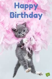 300 Great Happy Birthday Images For Free Download Sharing Happy Birthday Pictures Cat Birthday Happy Birthday Greetings Download a happy birthday image to celebrate your loved one. happy birthday pictures cat birthday