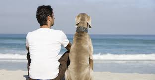 Are You Trying To Plan A Vacation For You And Your Pet For Man Pet Friendly Vacation Rentals North Myrtle Beach Vacation Rentals Myrtle Beach Vacation Rentals