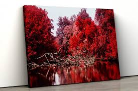Black And White Canvas Prints Of Trees Red Tree Black And White Forest River Scene Framed Canvas Etsy Nature Canvas Art Framed Canvas Prints Canvas Print Wall